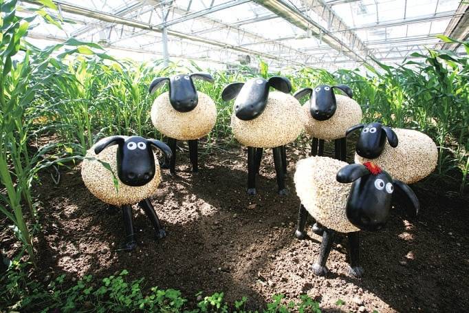 2015北京农业嘉年华 会展场地搭建-14