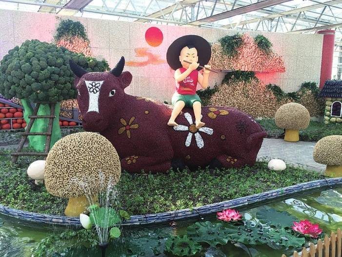 2015北京农业嘉年华 会展场地搭建-15