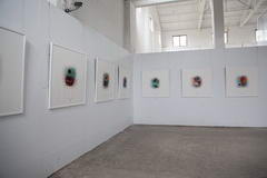 北京摄影展墙的销售价格_摄影展墙的零售批发_摄影隔断墙的设计搭建