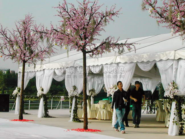 帐篷租赁搭建_北京朝阳商务节-7